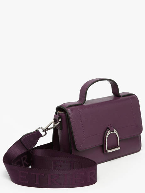 Small Leather Altesse Crossbody Bag Etrier Violet altesse EALT048S other view 2